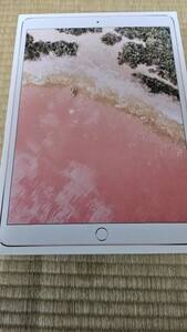 Apple iPad Pro 10.5 256GB セルラーモデル 訳あり