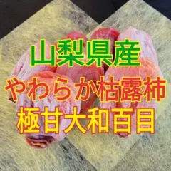 山梨県産　やわらか枯露柿　極甘大和百目　500g　干し柿