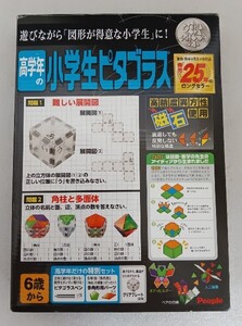 高学年の 小学生ピタゴラス 図形 算数 知育玩具 6歳から RGS−109 ぷらえ726 198