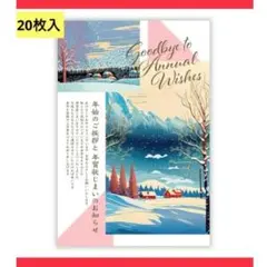 ⚡️年賀状じまい ⚡️はがき 20枚入り 私製 印刷済み 挨拶用 代替