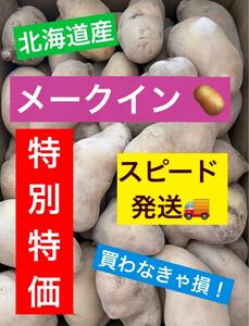 【数量限定】北海道 産 厚沢部 メークイン じゃがいも Sサイズ 約9.5kg