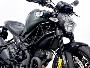 ディーゼルコラボモデル DUCATI Monster 1100 EVO Diesel 低走行車 AELLA rizoma ETC付 動画有 全国通販可 3.9％低金利ローン150回