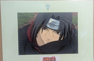 NARUTO その5