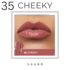 未使用新品 日本未発売 メイベリンヴィニルインク 35 cheeky