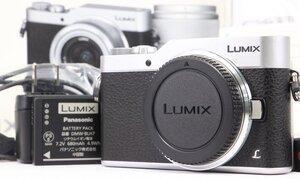 【 極美品 | シャッター数 わずか220回 】 Panasonic LUMIX GF9 ボディ DC-GF9 シルバー 【 液晶モニタに黄変あり 】