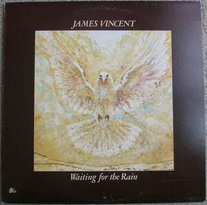 James Vincent『Waiting For The Rain』LP AOR