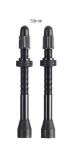 チューブレス バルブ 2個入り 55mm Presta（仏）用　コア脱着式 Tubeless