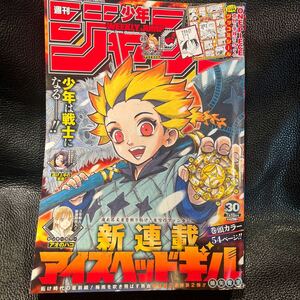 週刊少年ジャンプ 2023年7月10日号No.30 とじ込み付録ONE PIECEツッコミシール