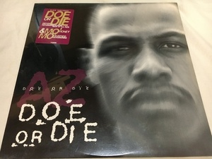 未開封 AZ DOE OR DIE 12inch 新品 RZA NAS