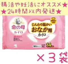 新品未使用　小林製薬命の母じんわり温かいカイロ　貼るカイロ30枚　妊活・災害用