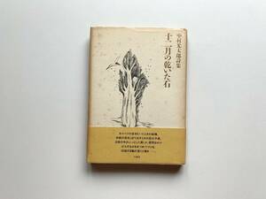 中村光太郎　十二月の乾いた石　行路社　1996年　第二詩集