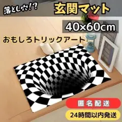 落とし穴 玄関 マット トリックアート ラグ カーペット 絨毯 インテリア 3D