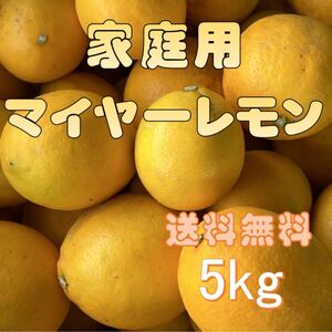 熊本県産 マイヤーレモン 家庭用 5kg 送料無料