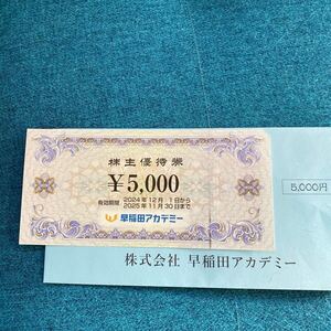 早稲田アカデミー 株主優待券　5000円 有効期限2024年12月1日から2025年11月30日まで