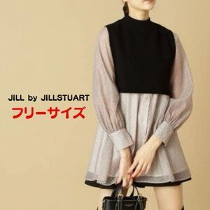 JILL by JILLSTUART ブラウス　長袖　ベスト付き　ワンピース