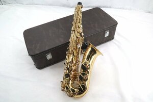 【ト萬】Yanagisawa ヤナギサワ アルトサックス A-900 ケース付き 楽器 サックス 音出し未確認 RD674RNI80