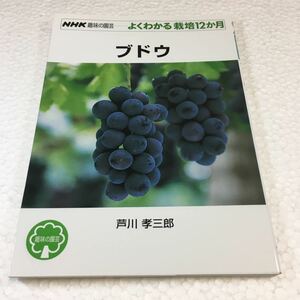 即決　未読未使用品　全国送料無料♪　ブドウ (NHK趣味の園芸 よくわかる栽培12か月) 背表紙に日焼けが有ります　JAN- 9784140401644