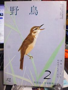 野鳥 329号　今月の鳥・ヒヨドリ　スリランカ・インド野鳥の旅　現地でカスミ網密猟を見ると　熊本市にホシムクドリ　千曲川にハイイロガン