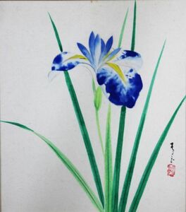 《真作》★辻 青花【菖蒲】(仮題)＊日本画.色紙.・額装＊師 落合朗風＊煌彩社所属＊元明朗社同人＊繊細.可憐.花＊茨城.物故＊[桃]