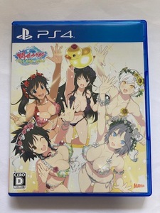 PS4ソフト　閃乱カグラ PEACH BEACH SPLASH SUNSHINE EDITION　中古