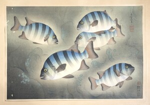 大野麦風『イシダイ』大日本魚類画集　木版画　原色木版二百度手摺　五百部限定　西宮書院　昭和13年発行　解説付