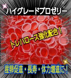 クワガタ、カブトムシの餌はコレ！ハイグレードプロゼリー【100個】食べやすいワイドカップ☆トレハロース強化！産卵促進・長寿効果抜群