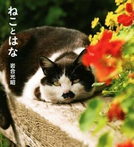 写真集　ねことはな ＩＷＡＧＯ’Ｓ　ＢＯＯＫ／岩合光昭(著者)