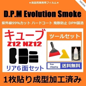 ★１枚貼り成型加工済みフィルム★ キューブ Z12 NZ12 【EVOスモーク】 ツールセット付き　D.P.M Evolution Smoke ドライ成型