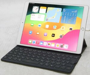 Apple iPad Pro MPHH2J/A Wi-Fi+Cellular SIMフリーモデル ■ A10X-2.36/高解像度/10.5インチ/シルバー/OS17.7 タブレット#10