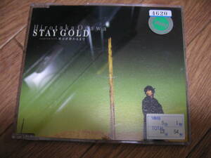 中古マキシ★織川ヒロタカ　「STAY GOLD」(レンタル・アップ)