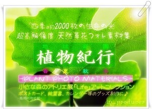 2000枚■【超高画質Photo Graphic新素材集】商用OK ■超マクロ撮影デジタル写真《四季折々の植物 花 蝶 風景 森の動物達etc.》☆送料無料☆