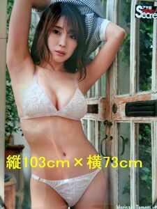 【アサ芸シークレット82 森咲智美 ビキニ特大ポスター】縦103ｃｍ×横73ｃｍ定価３０００円