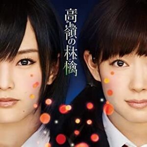 【中古】高嶺の林檎 (劇場盤) / NMB48 c3990【中古CDS】