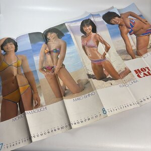 長◇J252/昭和アイドル 水着 ポスターカレンダー HOT GALS CALENDAR 山口百恵 石野真子 大場久美子 榊原 郁恵 平凡8月号付録/