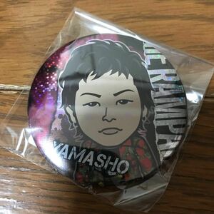 THE RAMPAGE LIVE TOUR GO ON THE RAMPAGE 2017-2018 山本彰吾 モバイル缶バッジ 75mm ツアーアーティスト写真