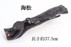 希少　海松　原木　/　時代物　天然海松　深海松　置物　煎茶飾　オブジェ　.G382