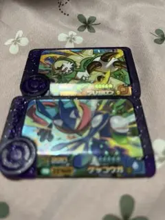 ポケモンフレンダゲッコウガ＆ブリガロン