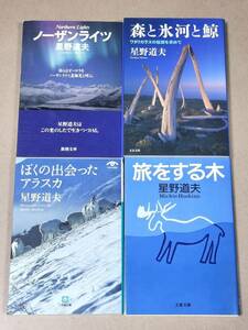 星野道夫4冊セット　旅をする木　森と氷河と鯨　ぼくの出会ったアラスカ　ノーザンライツ 