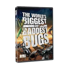 【中古】Worlds Biggest & Baddest Bugs [DVD]