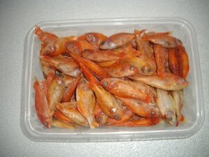 冷凍金魚