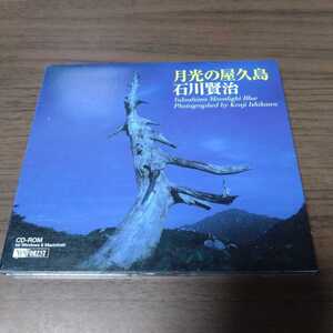 Windows95 月光の屋久島 石川賢治