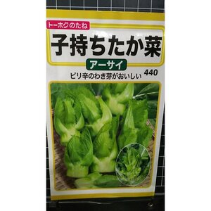 ３袋セット 子持ち たか菜 アーサイ 種 郵便は送料無料