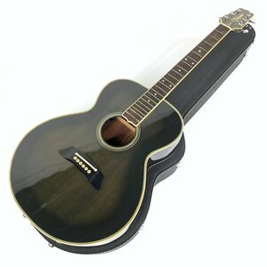 Takamine タカミネ PT-107(DUAL) エレアコギター シリアルNo.87081026 黒系 ハードケース付き★ジャンク品