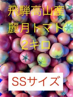 飛騨高山麗月トマト　2キロ　SSサイズ