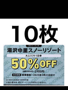 湯沢中里スノーリゾート リフト券大人２名半額券10枚