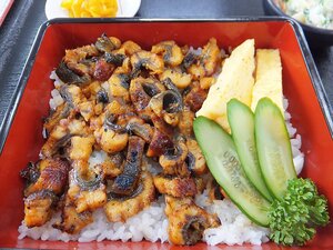 刻みうなぎ 500g ひつまぶしに うなぎ刻み うなぎ ウナギ 鰻 うなぎ蒲焼き うなぎ蒲焼 【水産フーズ】