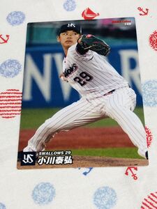 カルビー Calbee プロ野球カード 東京ヤクルトスワローズ 小川泰弘