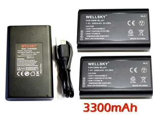 DMW-BLJ31 互換バッテリー 2個 & DMW-BTC14 [ デュアル ] USB 急速 互換充電器 バッテリーチャージャー 1個 [ 3点セット ] DC-S1M 