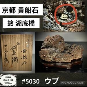 【水石ルネサンスフェア】水石 盆栽 京都 貴船石 銘 湖底橋 桐箱付 ウブ 横18×高12(cm)1.98kg 骨董盆石古美術鑑賞石観賞石太湖石 5030