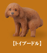 【トイプードル】単品 ふんばり～ぬ ふんばりいぬ ウンチングスタイル イヌ 犬 フィギュア ガチャ ガチャポン タカラトミーアーツ